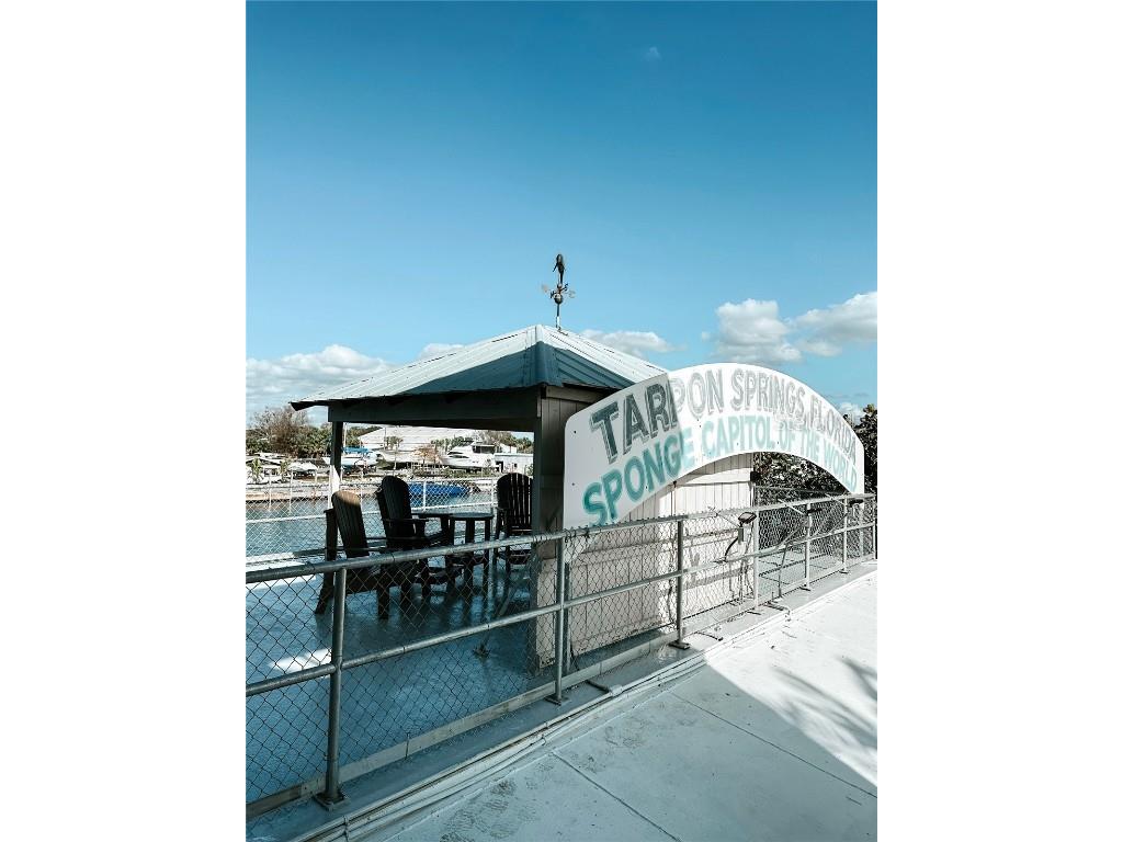 810 Dodecanese Boulevard Tarpon Springs FL 34689 - ANCLOTE RIVER W7871219 image53