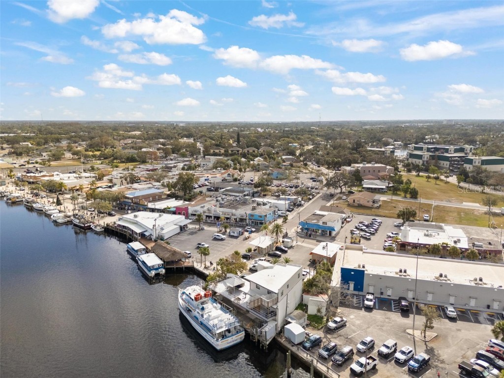 810 Dodecanese Boulevard Tarpon Springs FL 34689 - ANCLOTE RIVER W7871219 image9