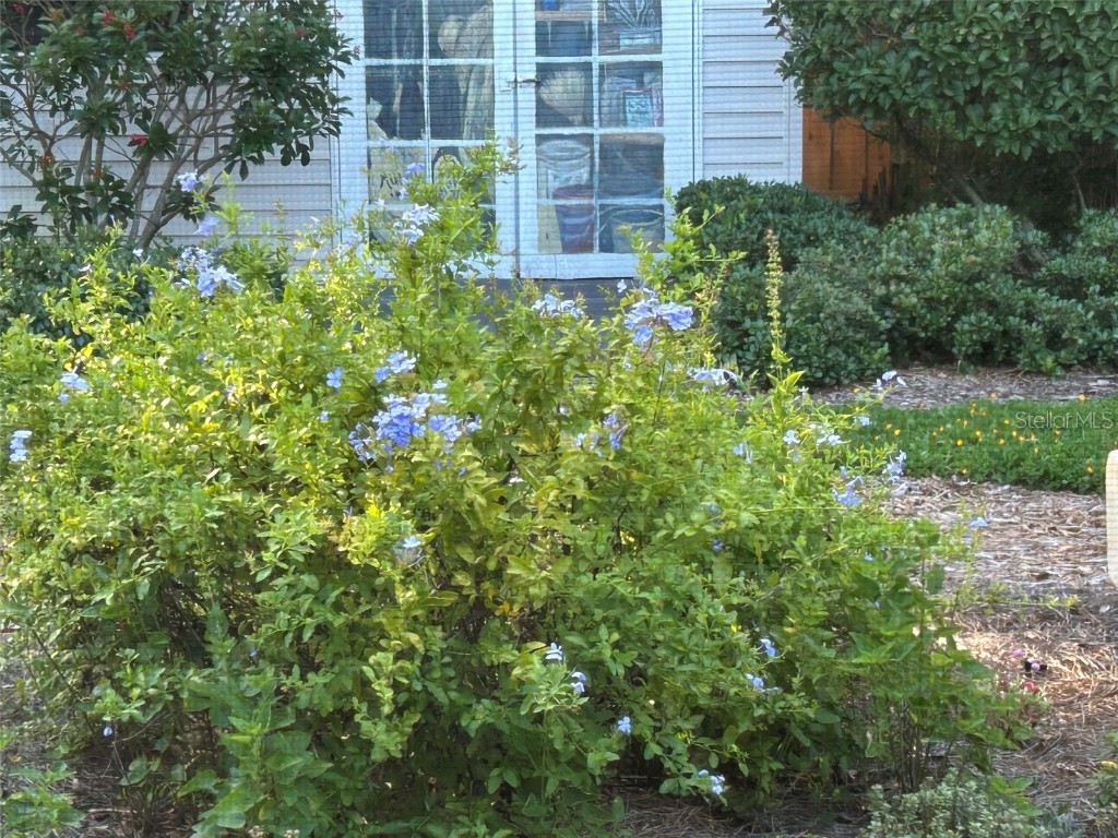 810 E 9th Avenue New Smyrna Beach FL 32169 NS1086800 image44