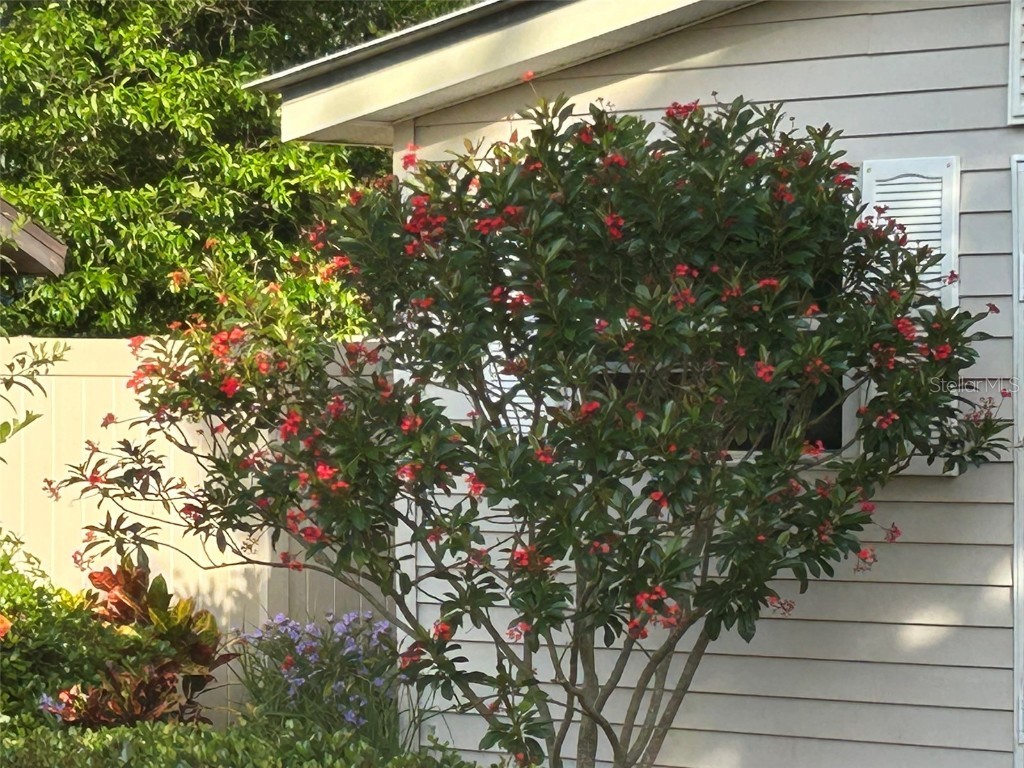 810 E 9th Avenue New Smyrna Beach FL 32169 NS1086800 image45