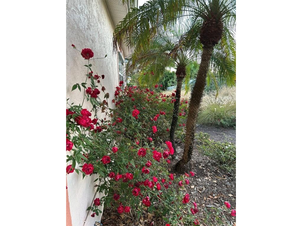 810 E 9th Avenue New Smyrna Beach FL 32169 NS1086800 image46