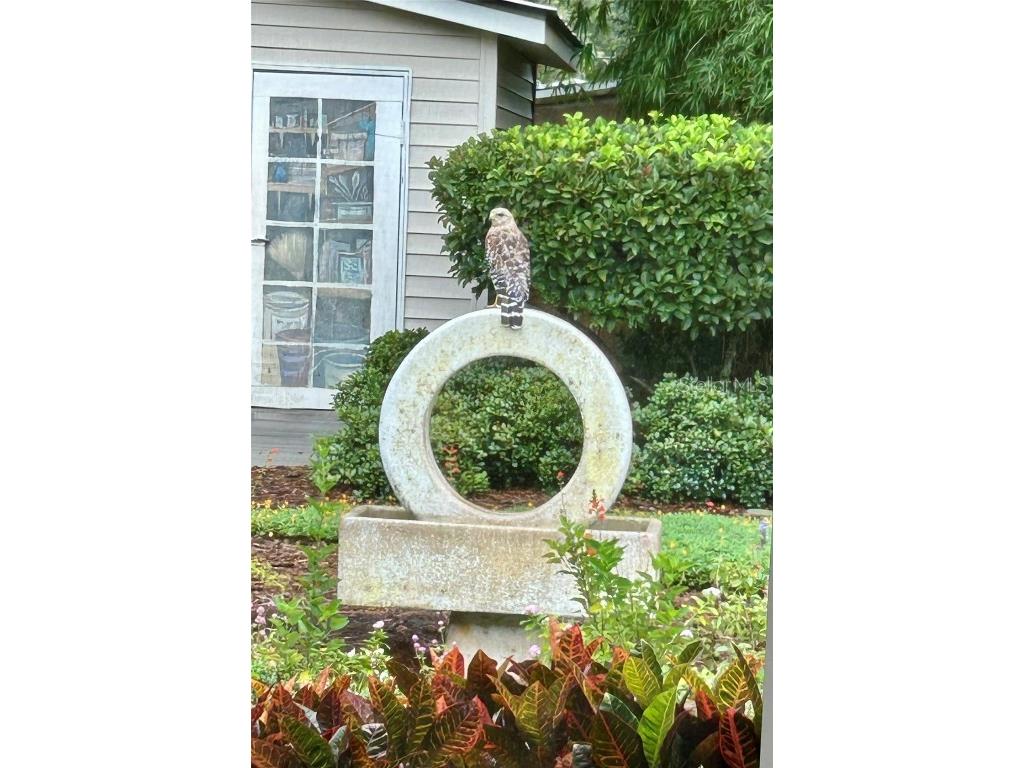 810 E 9th Avenue New Smyrna Beach FL 32169 NS1086800 image47