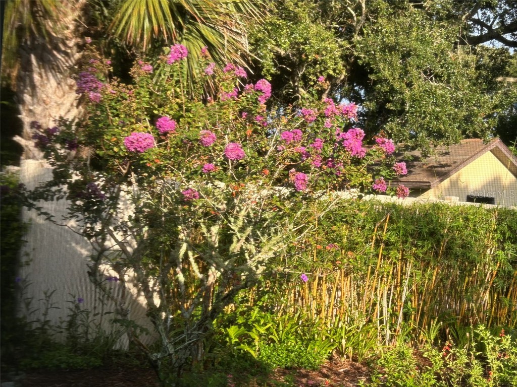 810 E 9th Avenue New Smyrna Beach FL 32169 NS1086800 image52