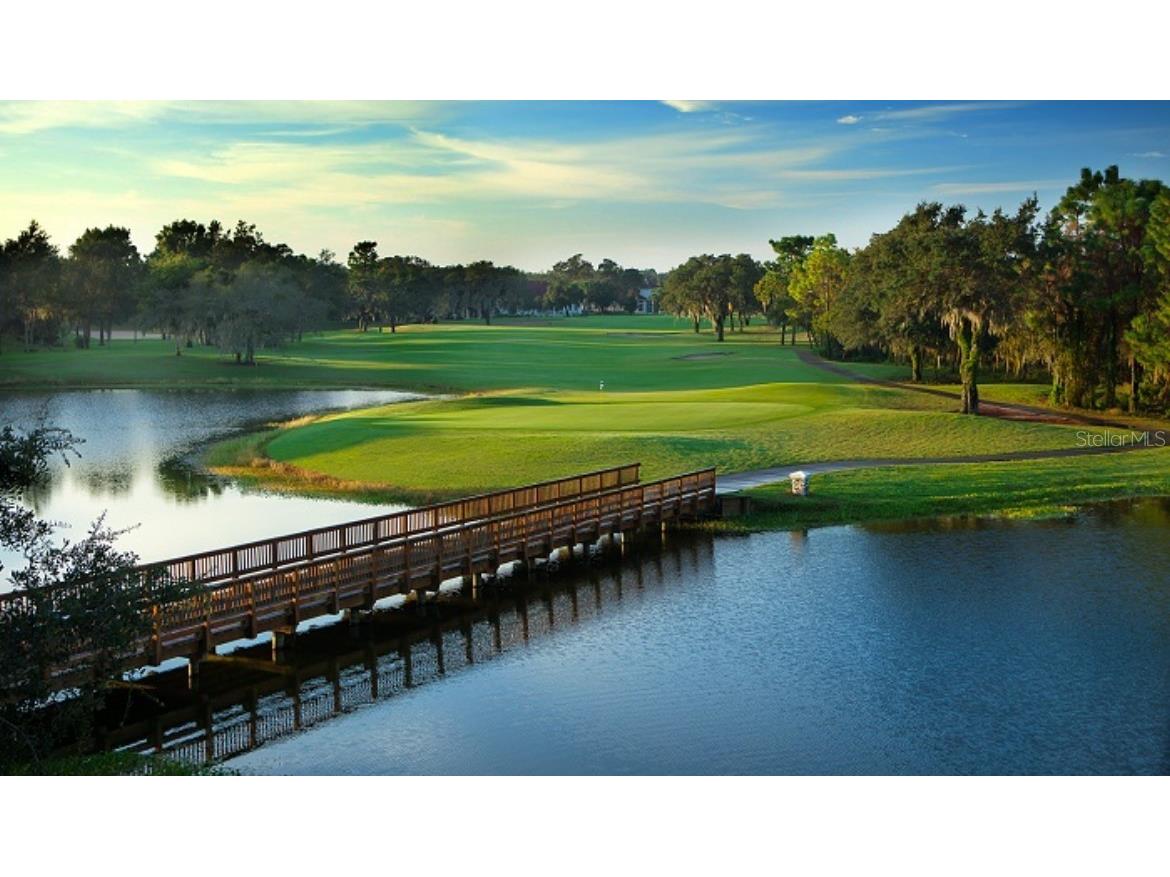 810 E Gilchrist Court #3B Hernando FL 34442 OM718857 image22