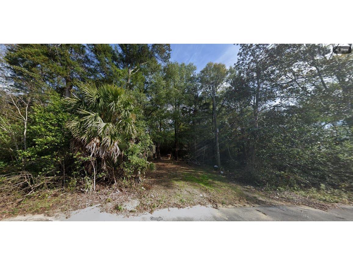 810 King Street Graceville FL 32440 O6231391 image8