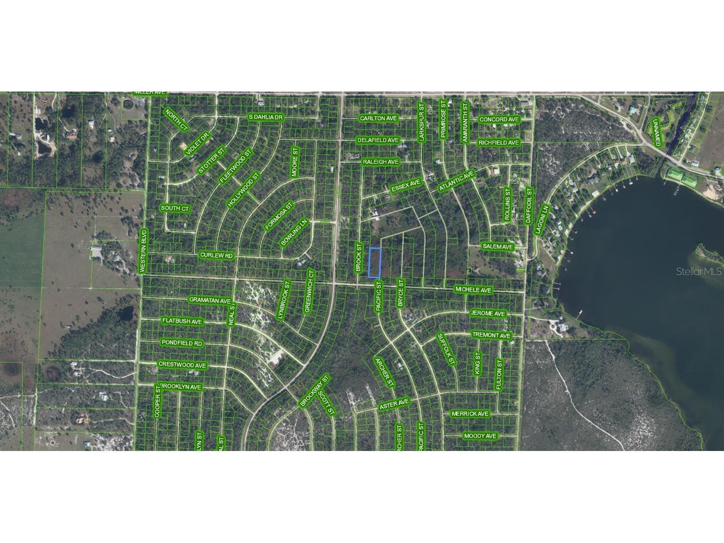 810 Pacific Street Lake Placid FL 33852 C7519786 image2