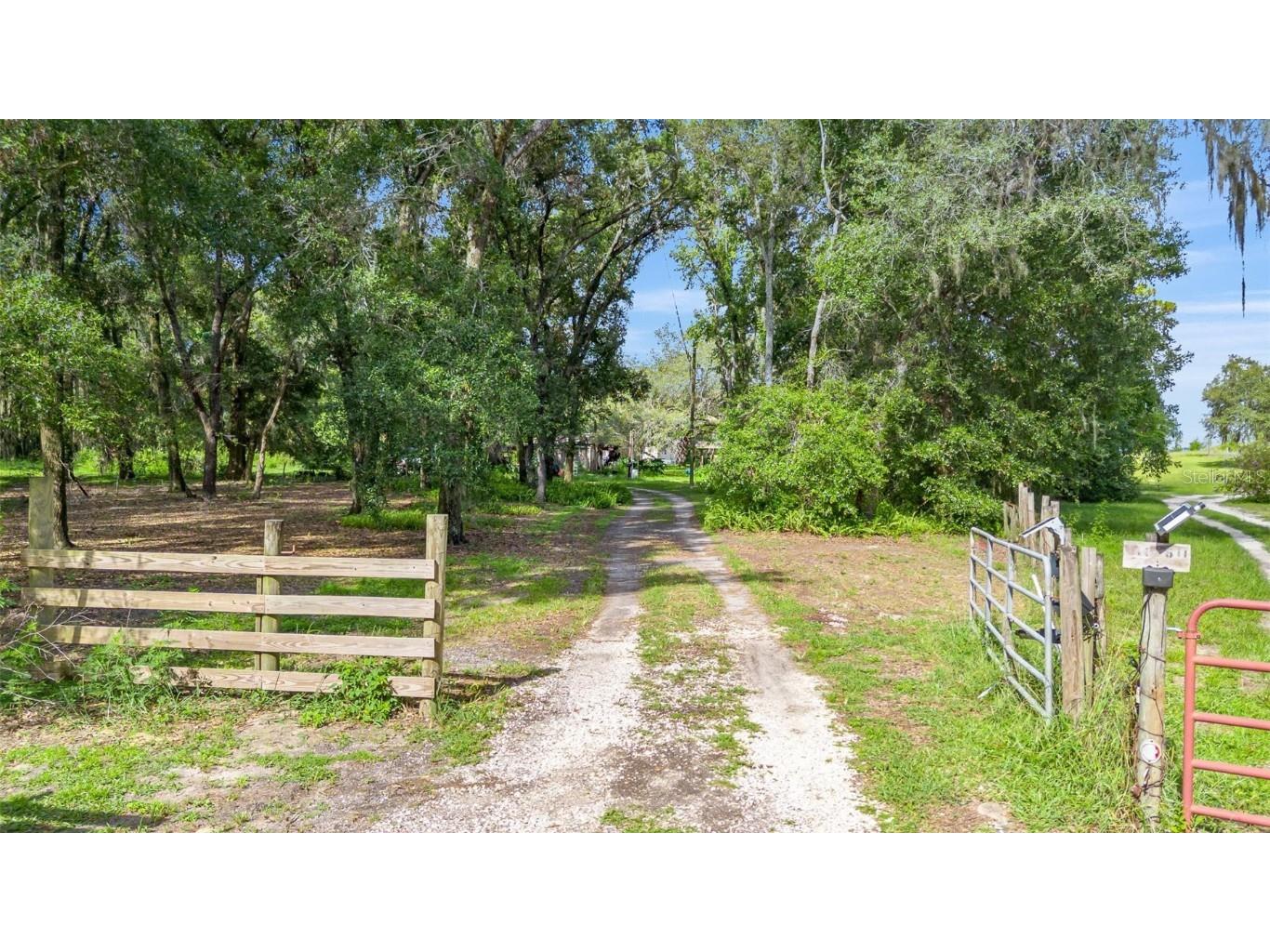 810 Plum Nearly Lane Lady Lake FL 32159 V4944246 image16