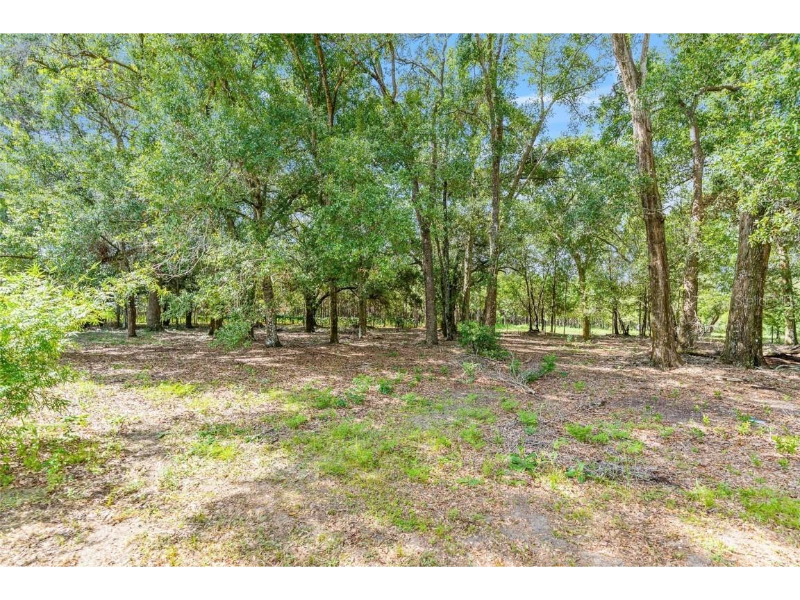 810 Plum Nearly Lane Lady Lake FL 32159 V4944246 image19