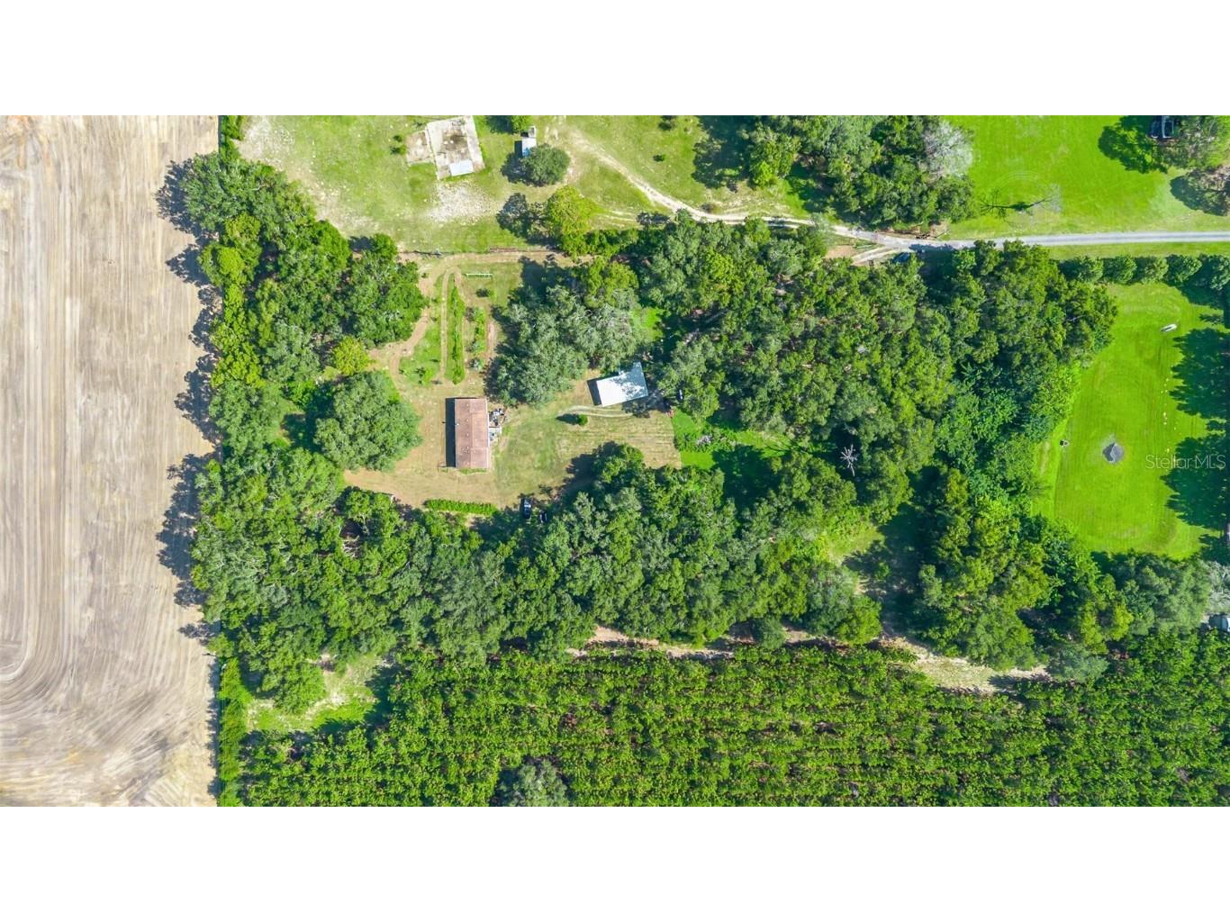 810 Plum Nearly Lane Lady Lake FL 32159 V4944246 image28