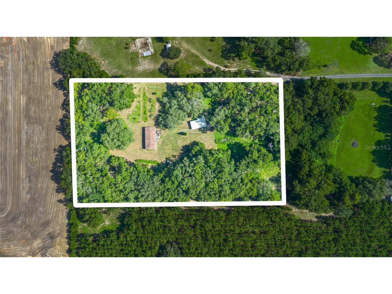 810 Plum Nearly Lane Lady Lake FL 32159 V4944246 image30