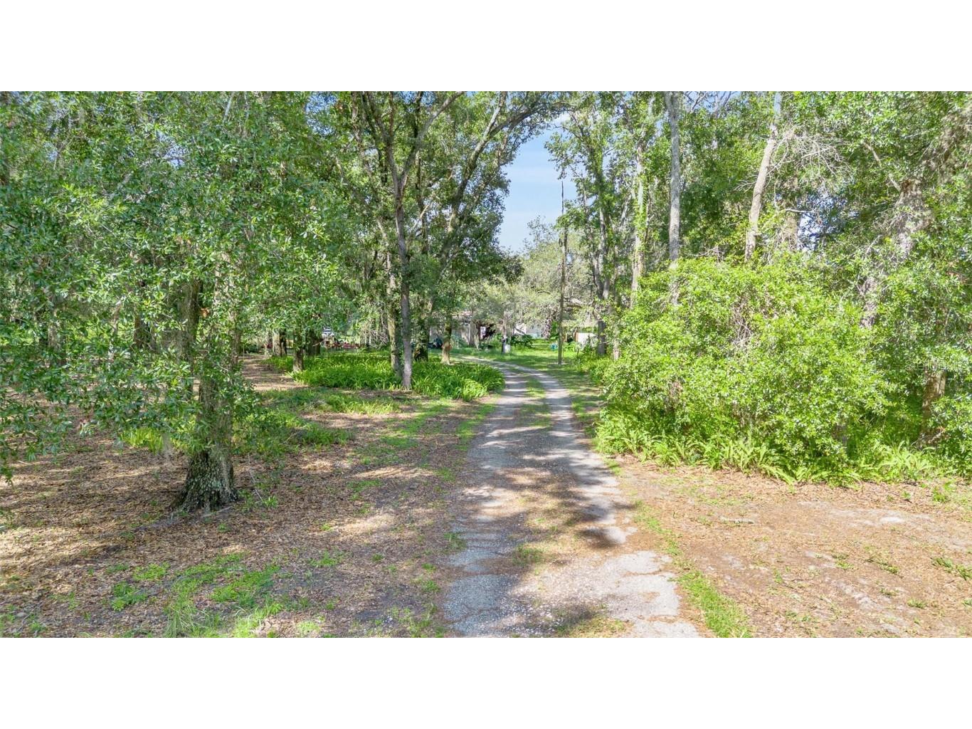810 Plum Nearly Lane Lady Lake FL 32159 V4944246 image35