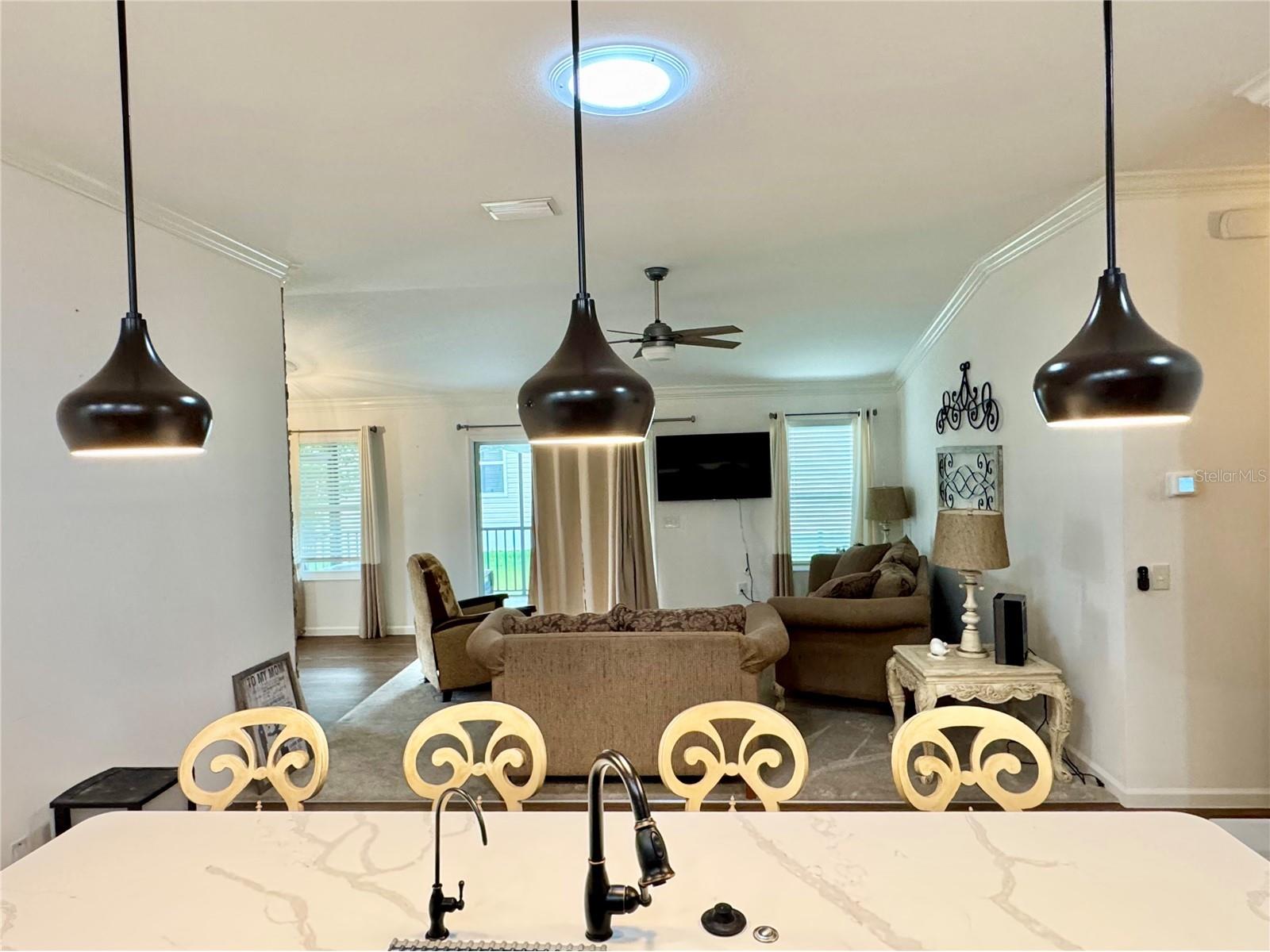 810 Roseapple Avenue Lady Lake FL 32159 G5113284 image11