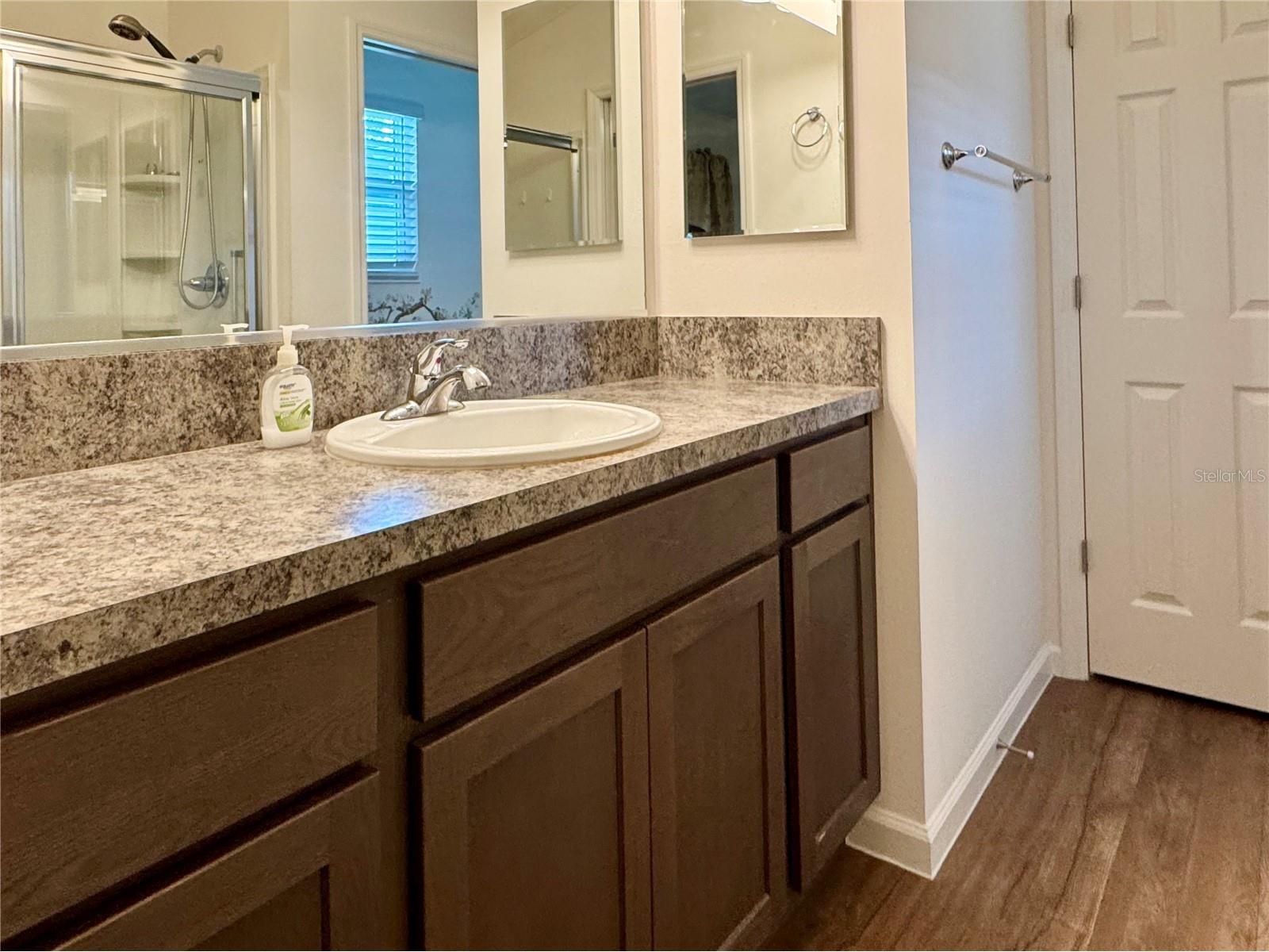 810 Roseapple Avenue Lady Lake FL 32159 G5113284 image13