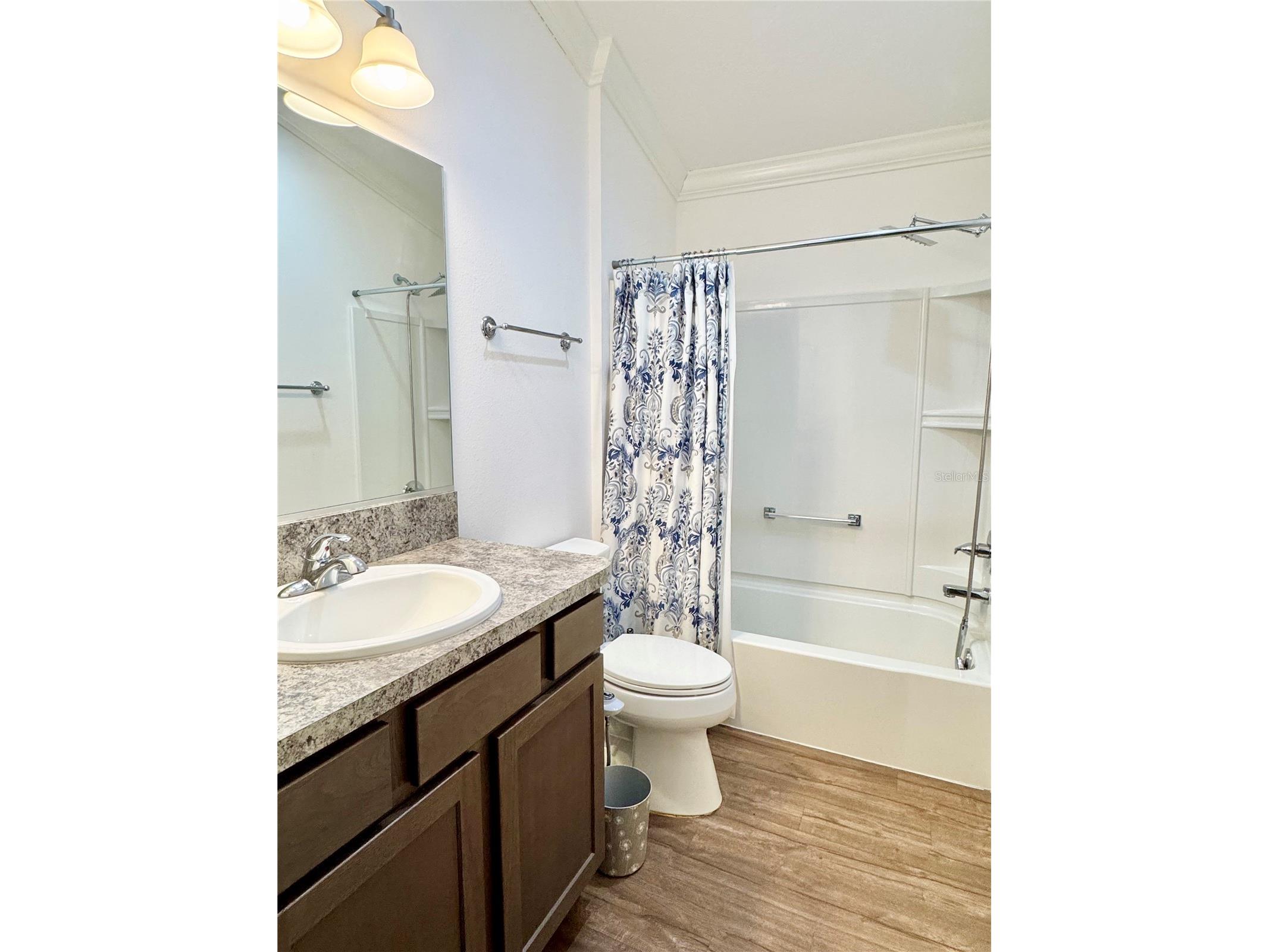 810 Roseapple Avenue Lady Lake FL 32159 G5113284 image16