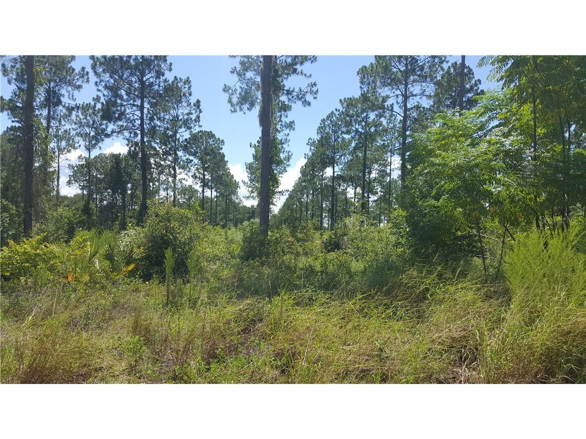 810 S Binion Road Apopka FL 32703 O5453445 image1