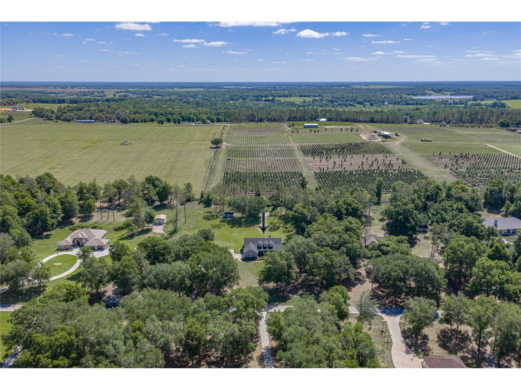 810 Savannah Oaks Drive Brooksville FL 34602 TB8499287 image2