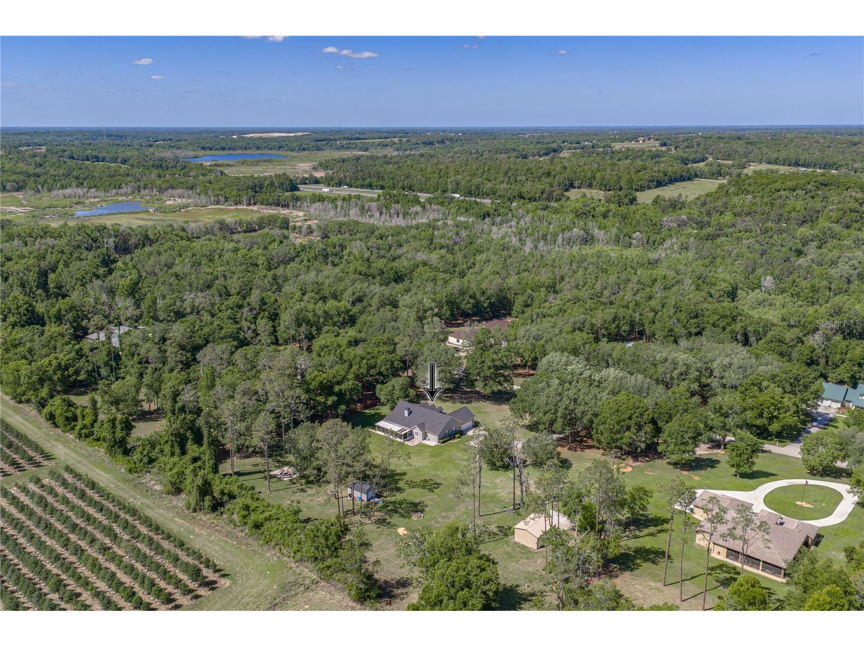 810 Savannah Oaks Drive Brooksville FL 34602 TB8499287 image3