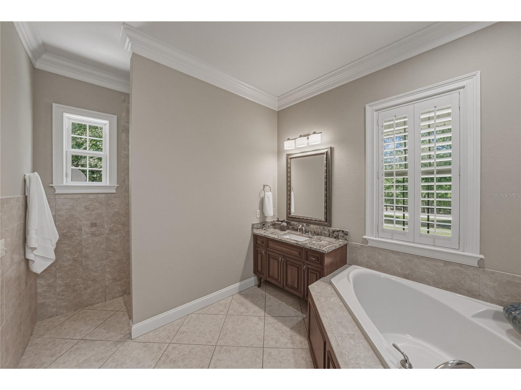 810 Savannah Oaks Drive Brooksville FL 34602 TB8499287 image37