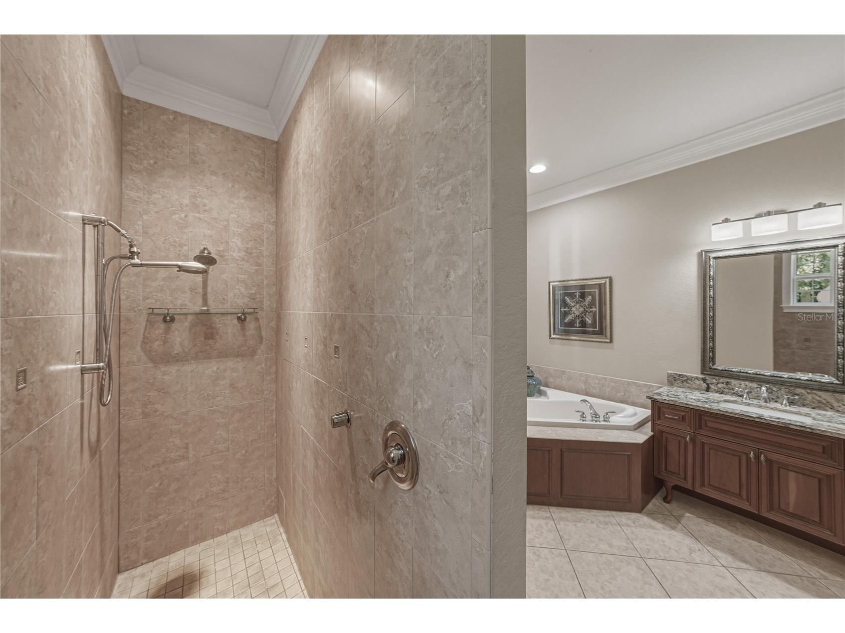 810 Savannah Oaks Drive Brooksville FL 34602 TB8499287 image38