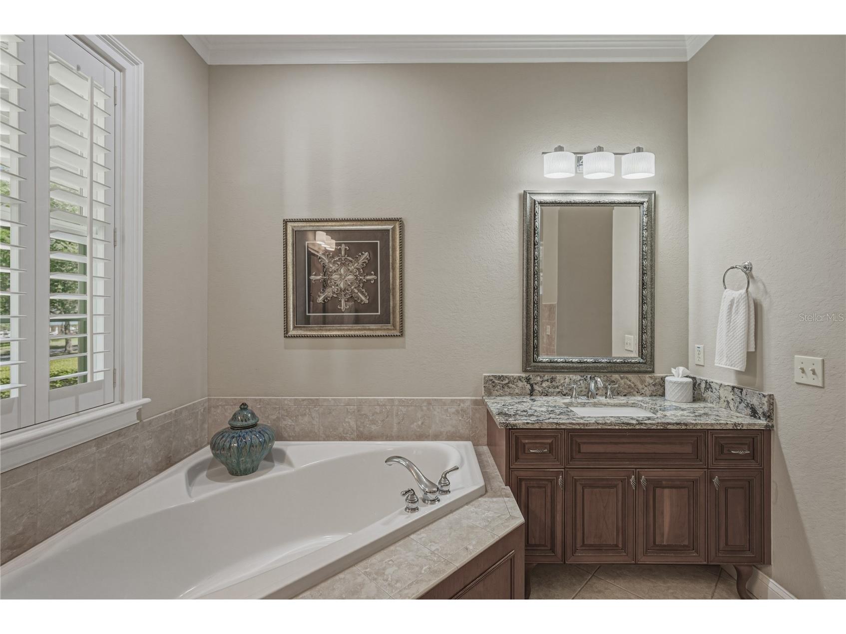 810 Savannah Oaks Drive Brooksville FL 34602 TB8499287 image39