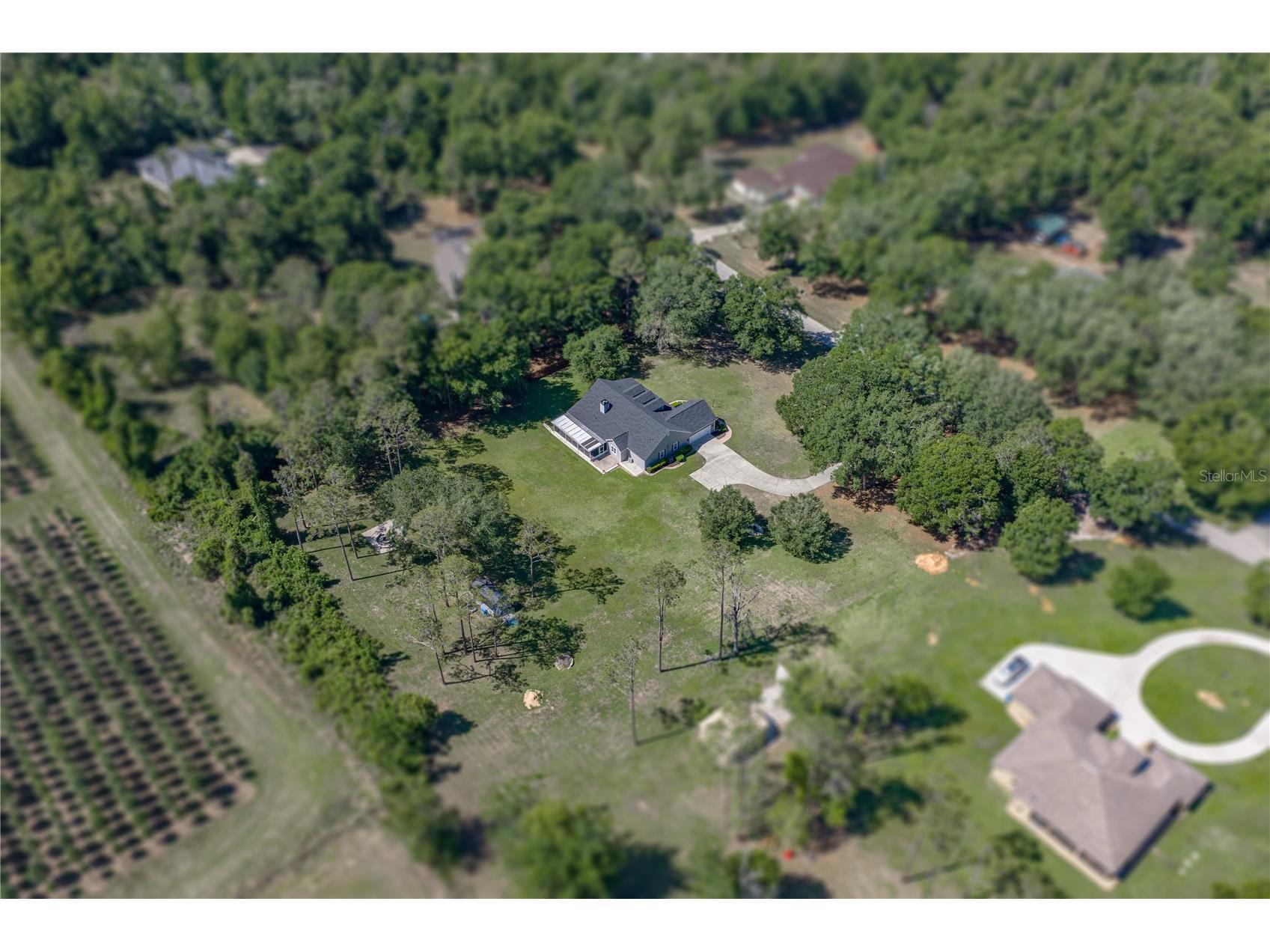 810 Savannah Oaks Drive Brooksville FL 34602 TB8499287 image4