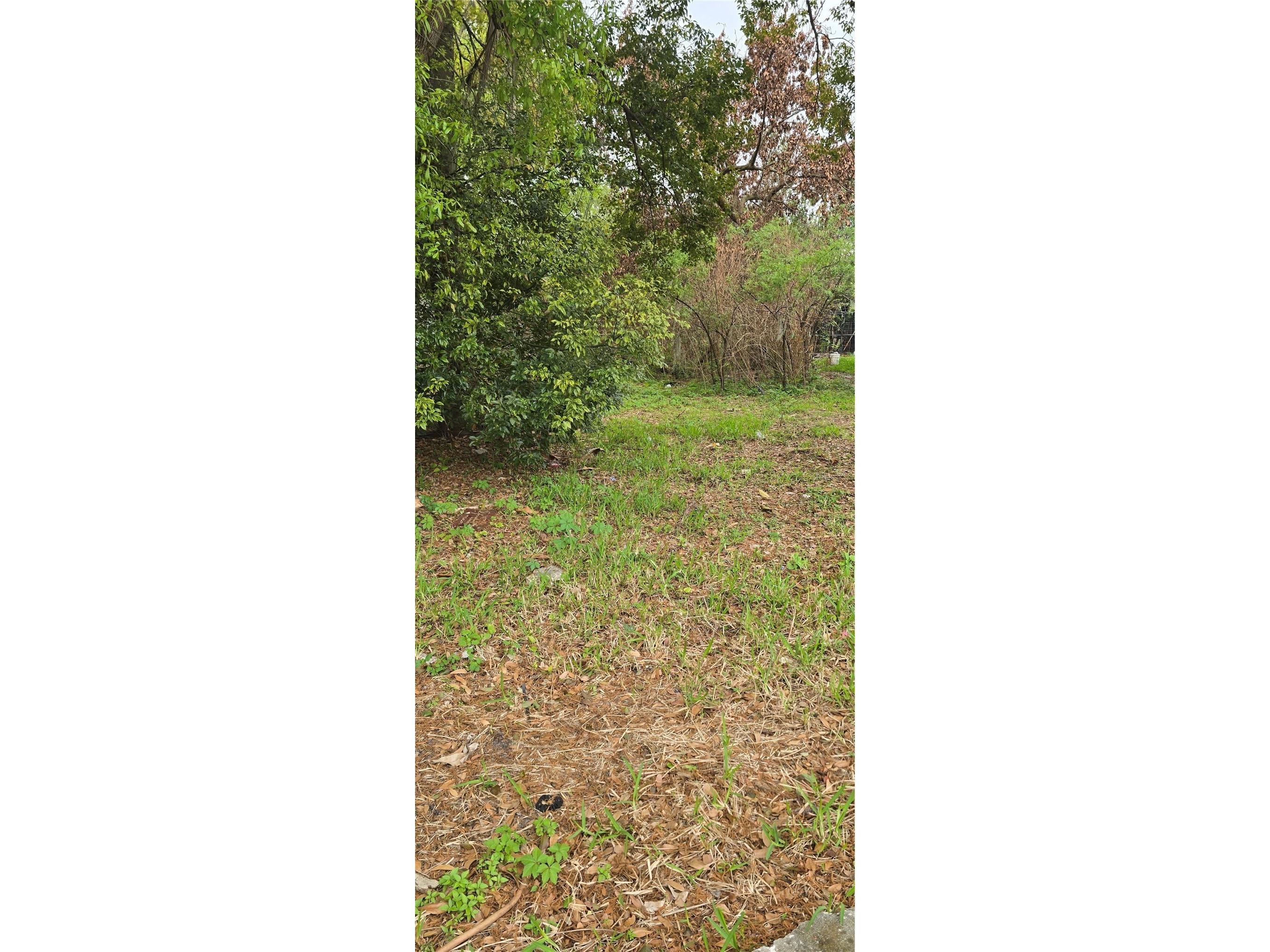 810 W 14th Street Lakeland FL 33805 R4910882 image1