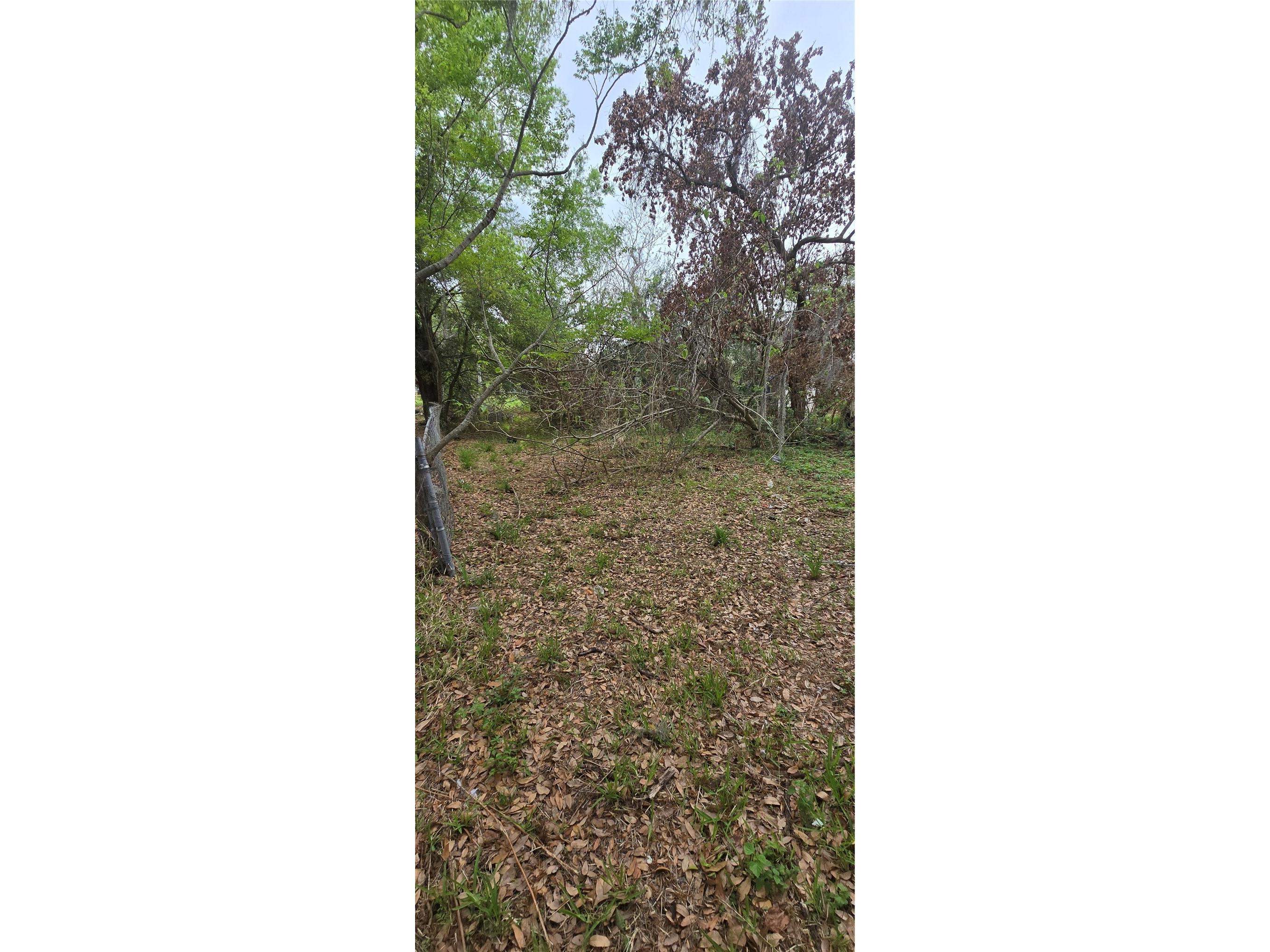 810 W 14th Street Lakeland FL 33805 R4910882 image3