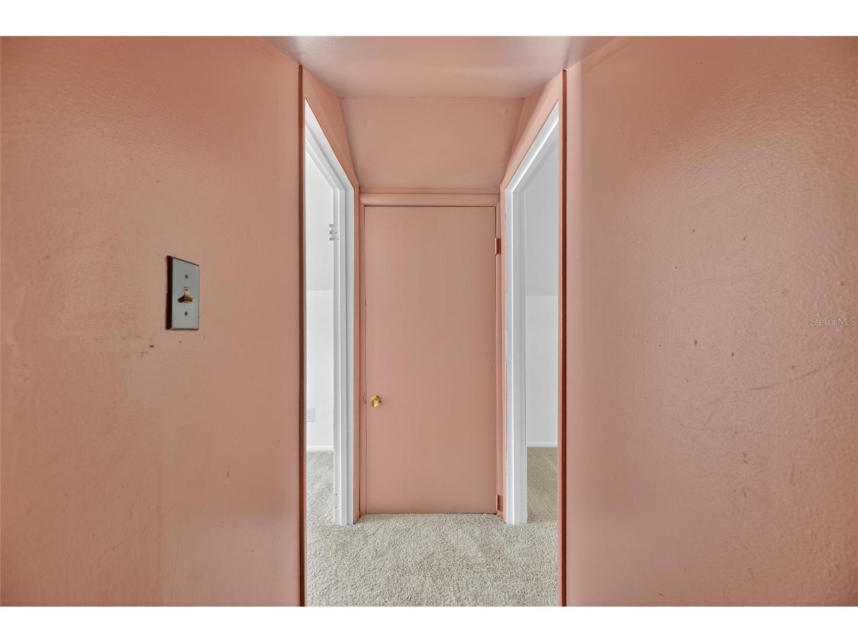 810 W River Heights Avenue Tampa FL 33603 TB8492625 image37