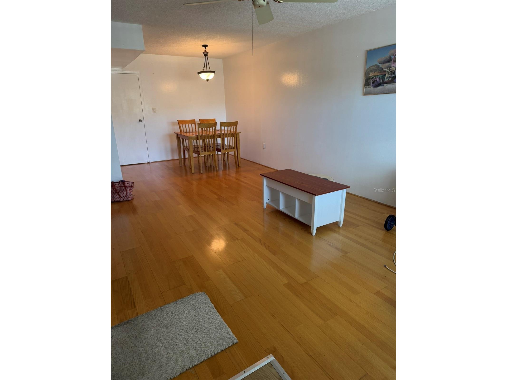 8100 Dr Martin Luther King Jr Street N #208 Saint Petersburg FL 33702 TB8527092 image2