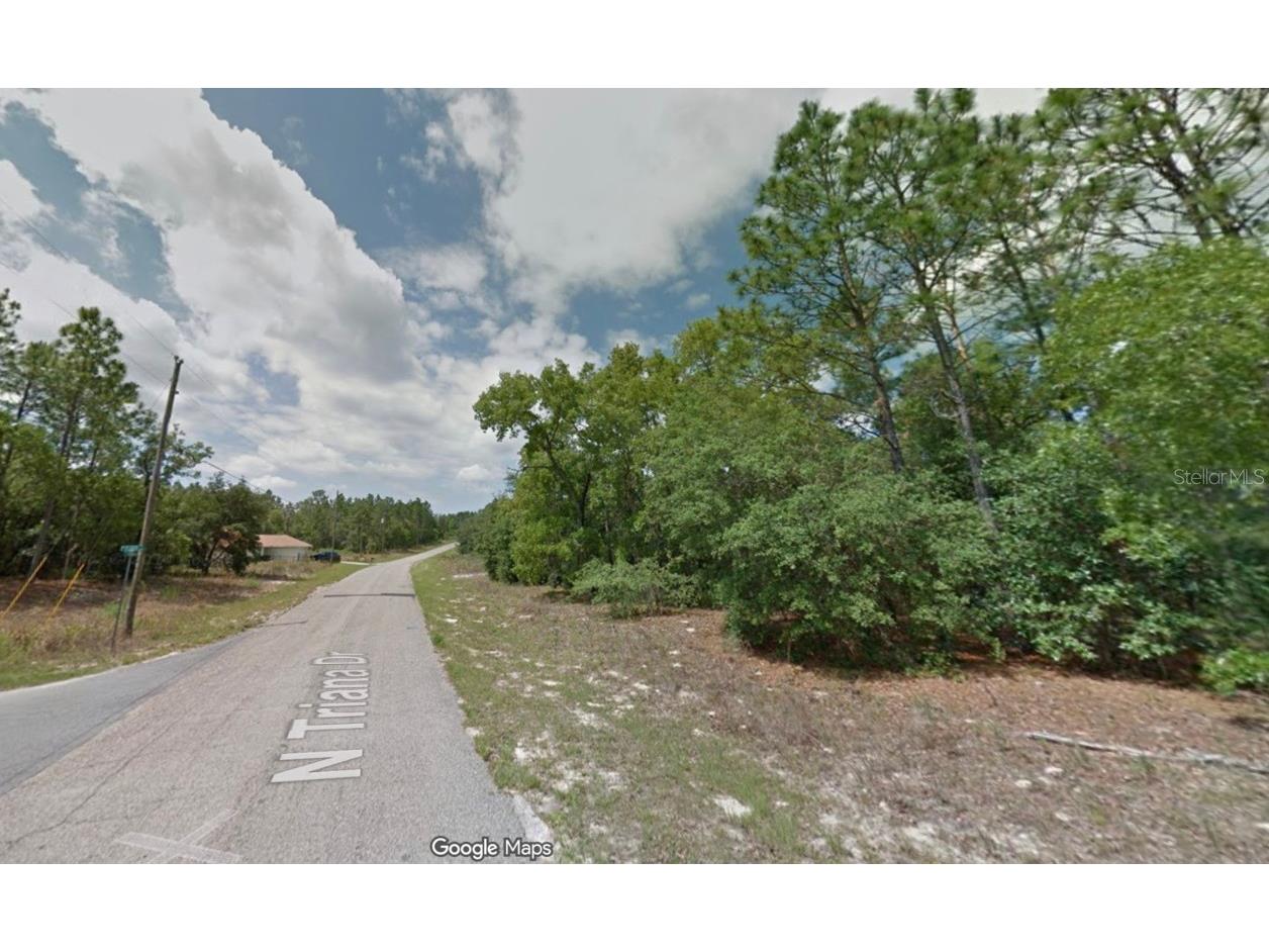 8100 N Triana Drive Citrus Springs FL 34434 OM714130 image1