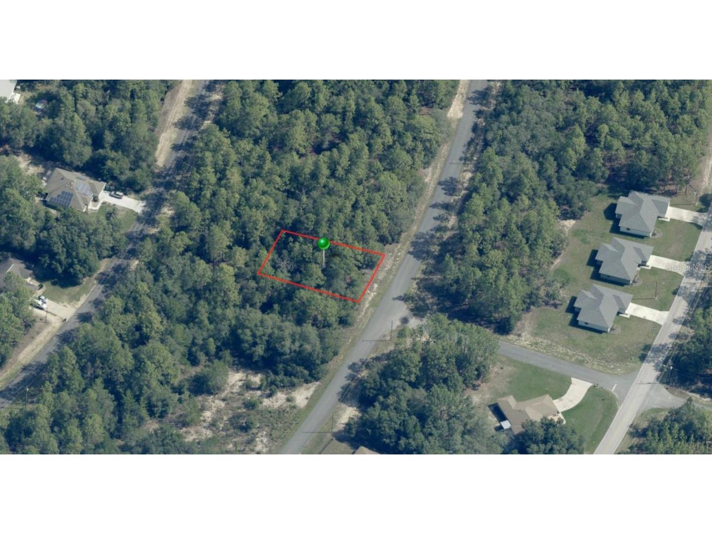 8100 N Triana Drive Citrus Springs FL 34434 OM714130 image2