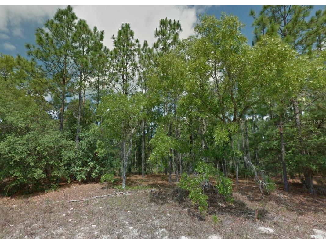 8100 N Triana Drive Citrus Springs FL 34434 OM714130 image3