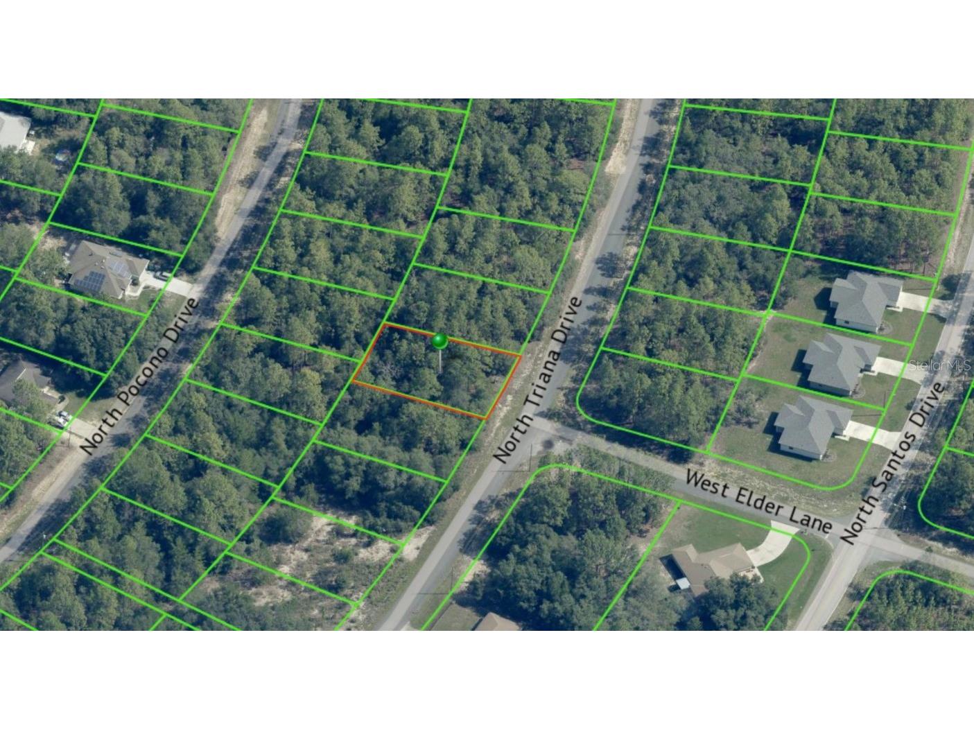 8100 N Triana Drive Citrus Springs FL 34434 OM714130 image4