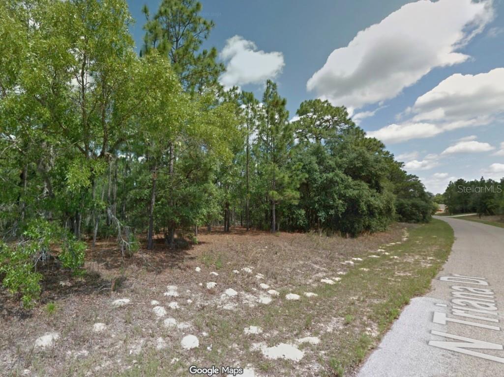8100 N Triana Drive Citrus Springs FL 34434 OM714130 image5