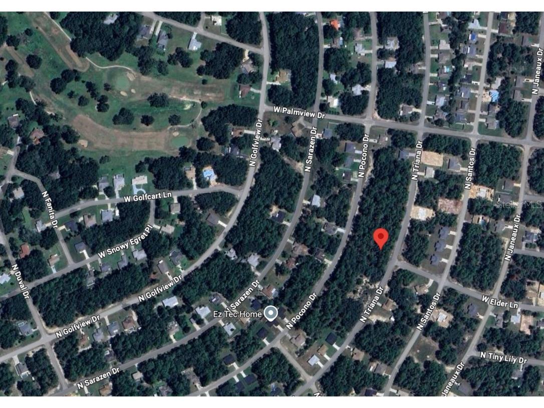 8100 N Triana Drive Citrus Springs FL 34434 OM714130 image6