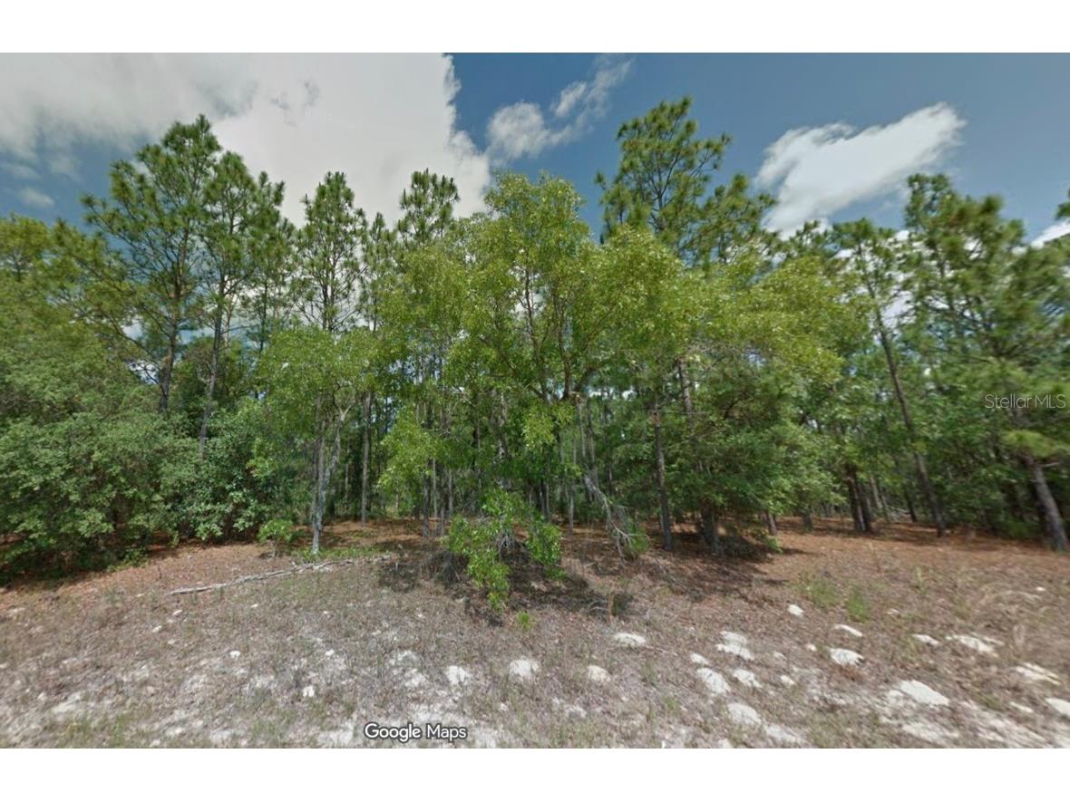 8100 N Triana Drive Citrus Springs FL 34434 OM714130 image7