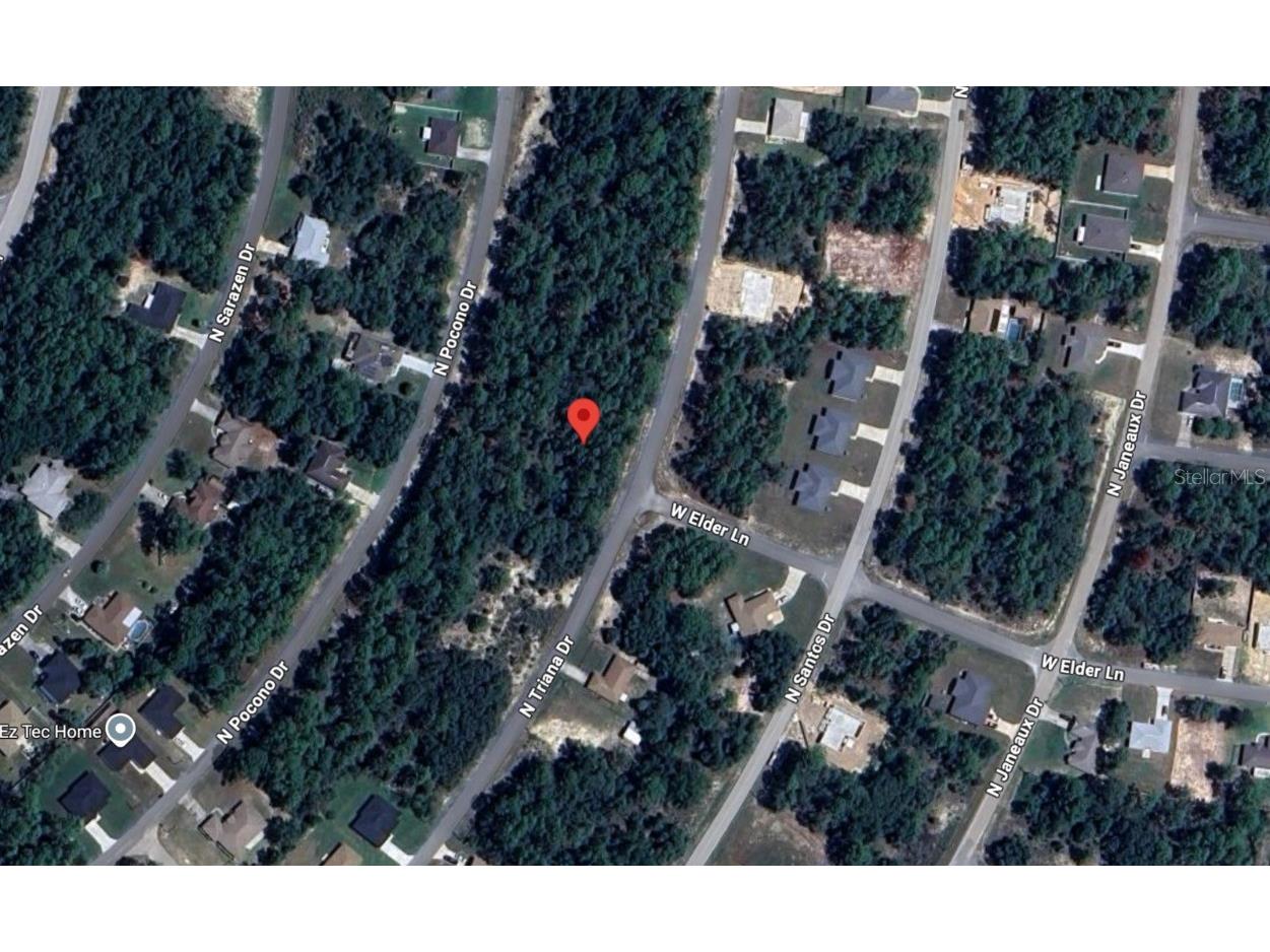 8100 N Triana Drive Citrus Springs FL 34434 OM714130 image8