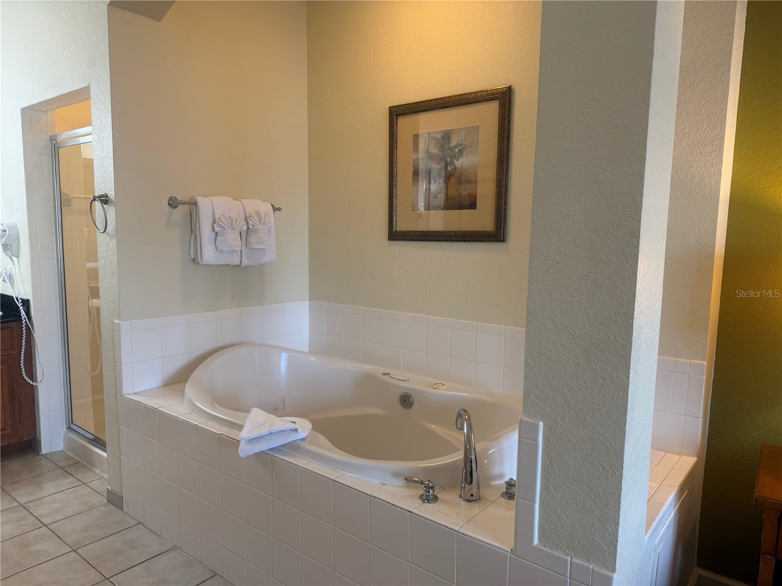 8100 Poinciana Boulevard #2106 Orlando FL 32821 S5146900 image14
