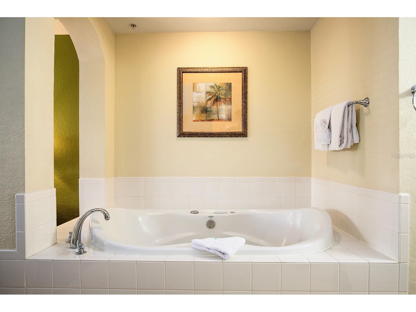 8100 Poinciana Boulevard #2312 Orlando FL 32821 O6406223 image20