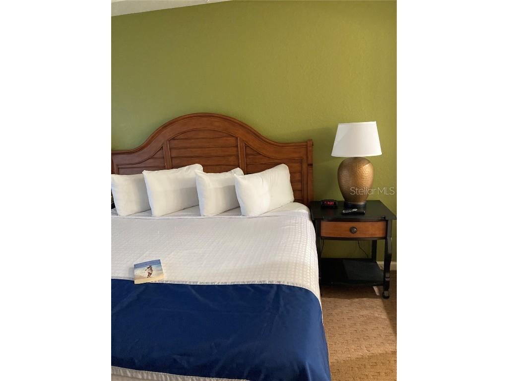 8100 Poinciana Boulevard #2405 Orlando FL 32821 O6339281 image65