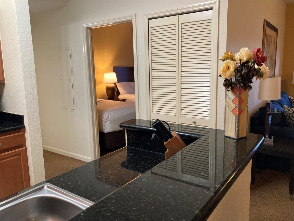 8100 Poinciana Boulevard #2405 Orlando FL 32821 O6339281 image67