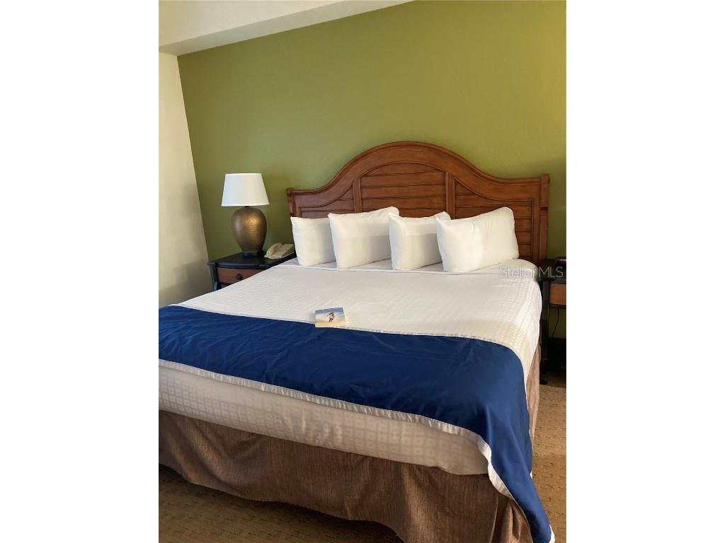 8100 Poinciana Boulevard #2405 Orlando FL 32821 O6339281 image87