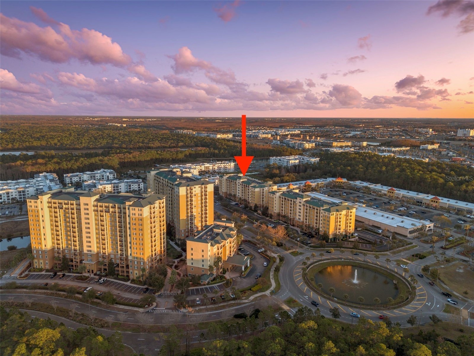 8100 Poinciana Boulevard #2502 Orlando FL 32821 S5142144 image1