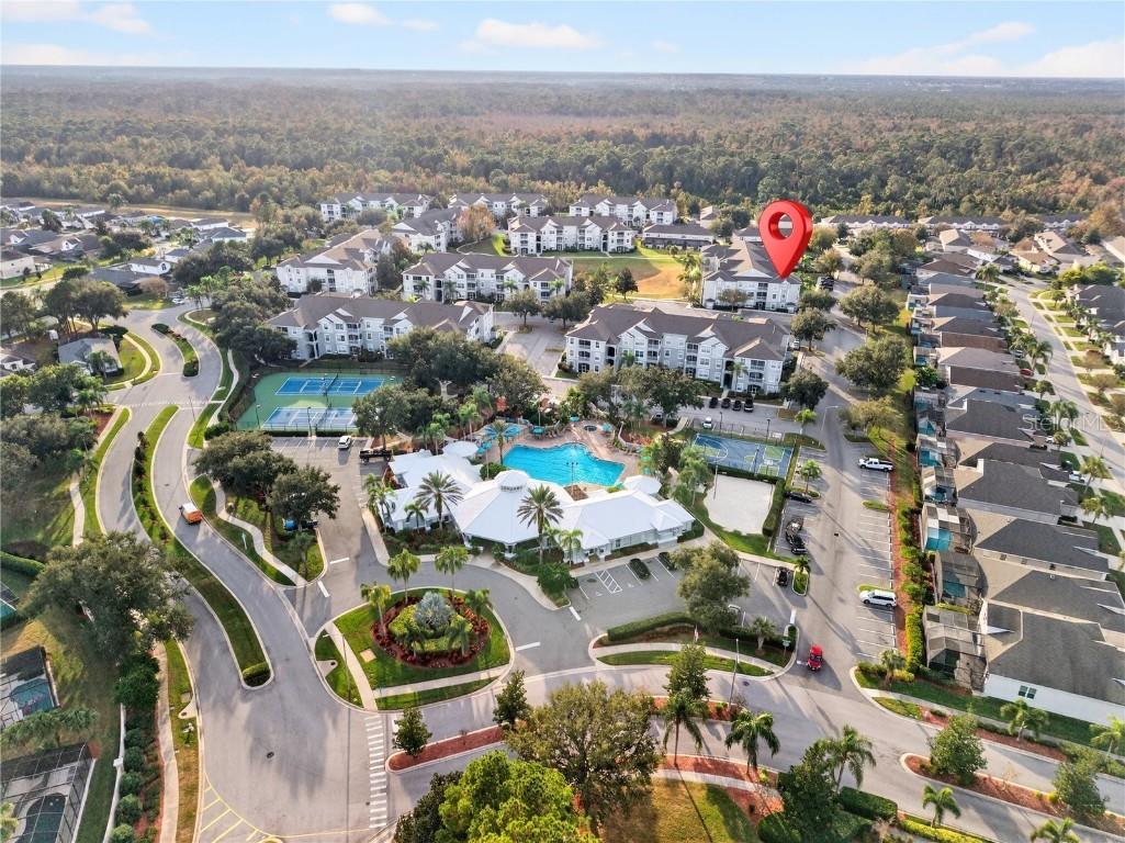 8100 Princess Palm Lane #201 Kissimmee FL 34747 O6365880 image34