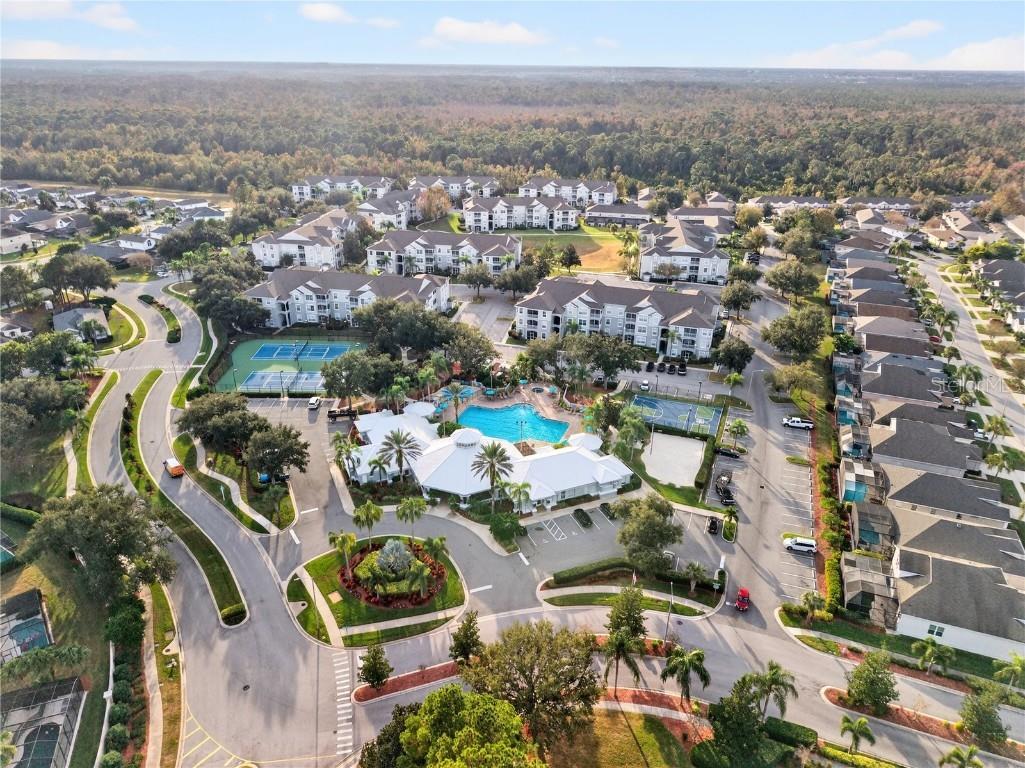 8100 Princess Palm Lane #201 Kissimmee FL 34747 O6365880 image50