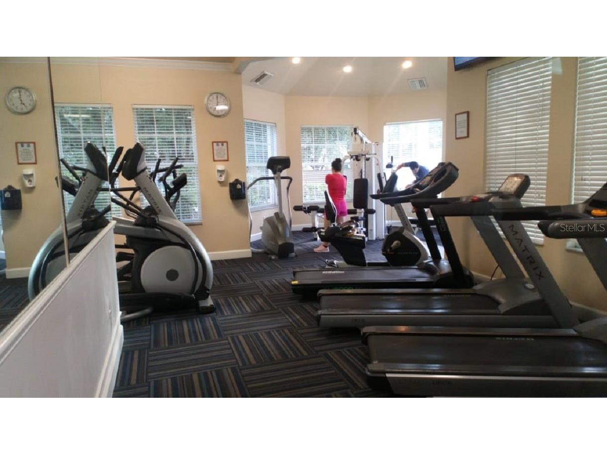 8100 Princess Palm Lane #203 Kissimmee FL 34747 S5123426 image11