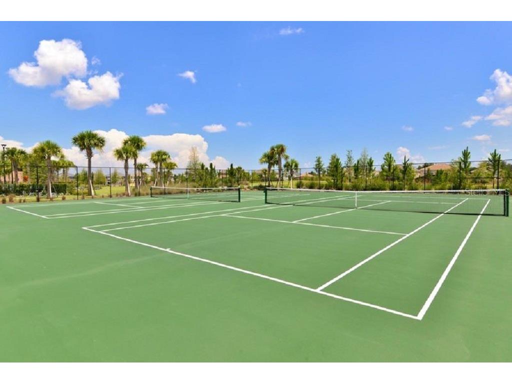 8100 Princess Palm Lane #203 Kissimmee FL 34747 S5123426 image12