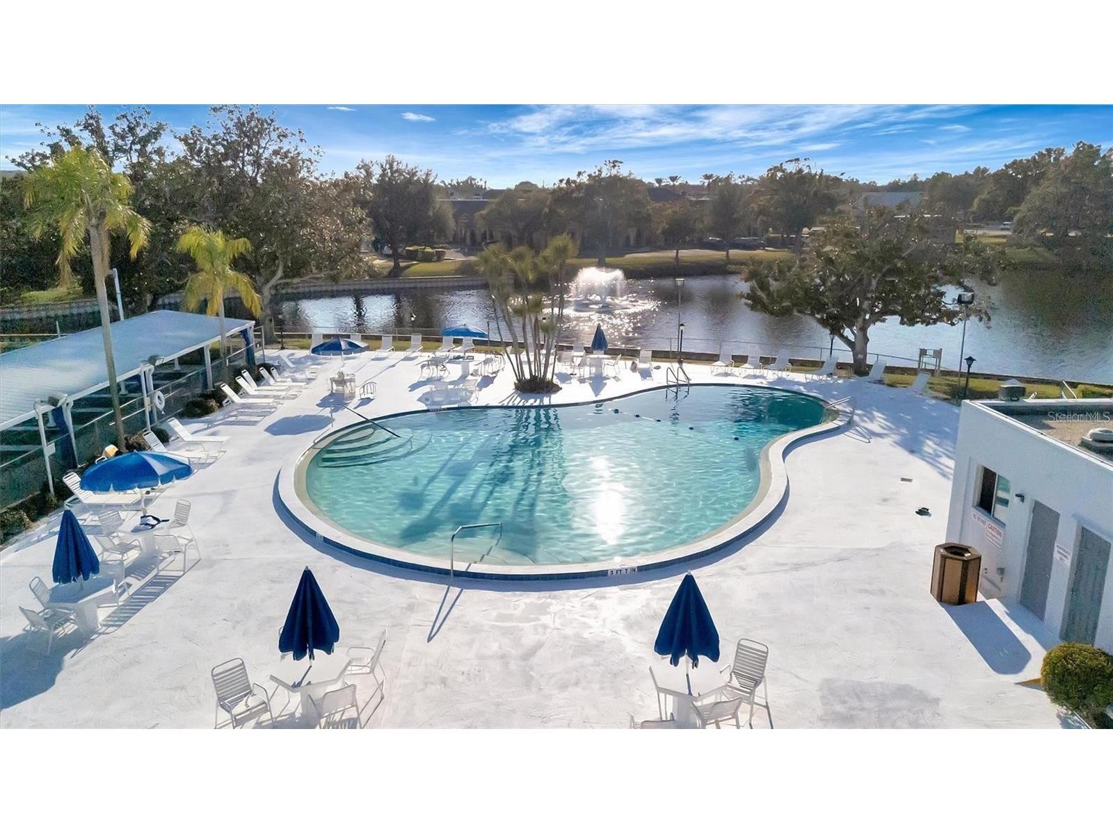 8101 113th Street #309 Seminole FL 33772 TB8531506 image32