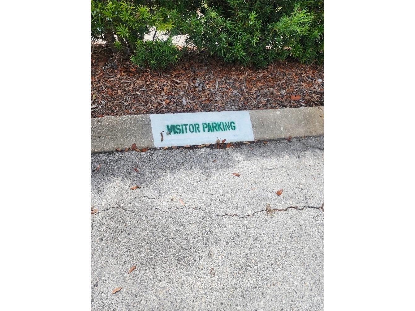 8101 113th Street #309 Seminole FL 33772 TB8531506 image38