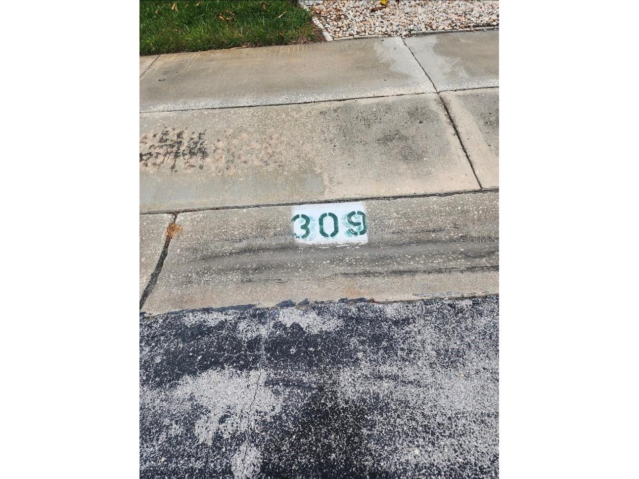 8101 113th Street #309 Seminole FL 33772 TB8531506 image40